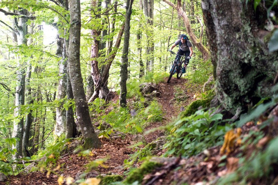 MTB guided tour in Goriška region from Sv. Gora and Škabrijel