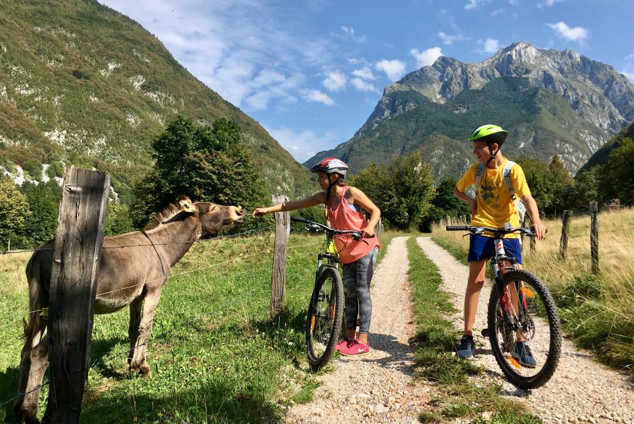 family bike tour bovec soca valley family biking guided tours
