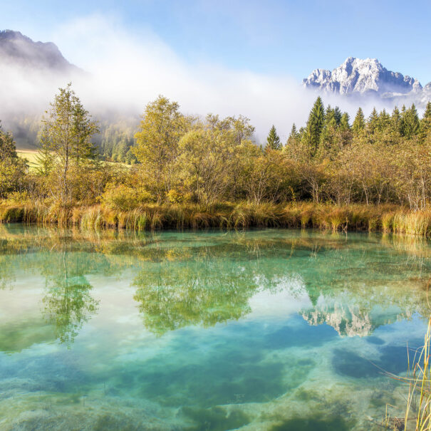 Zelenci park in Kranjska Gora, Slovenia